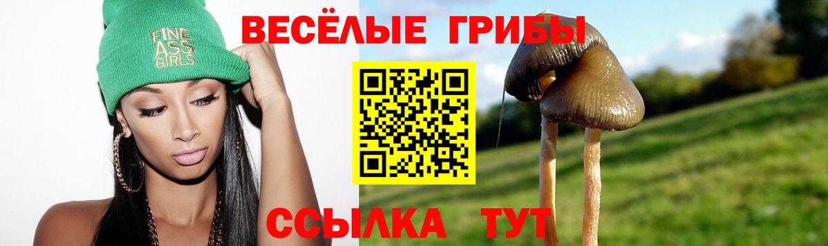 Псилоцибиновые грибы MAGIC MUSHROOMS Серпухов